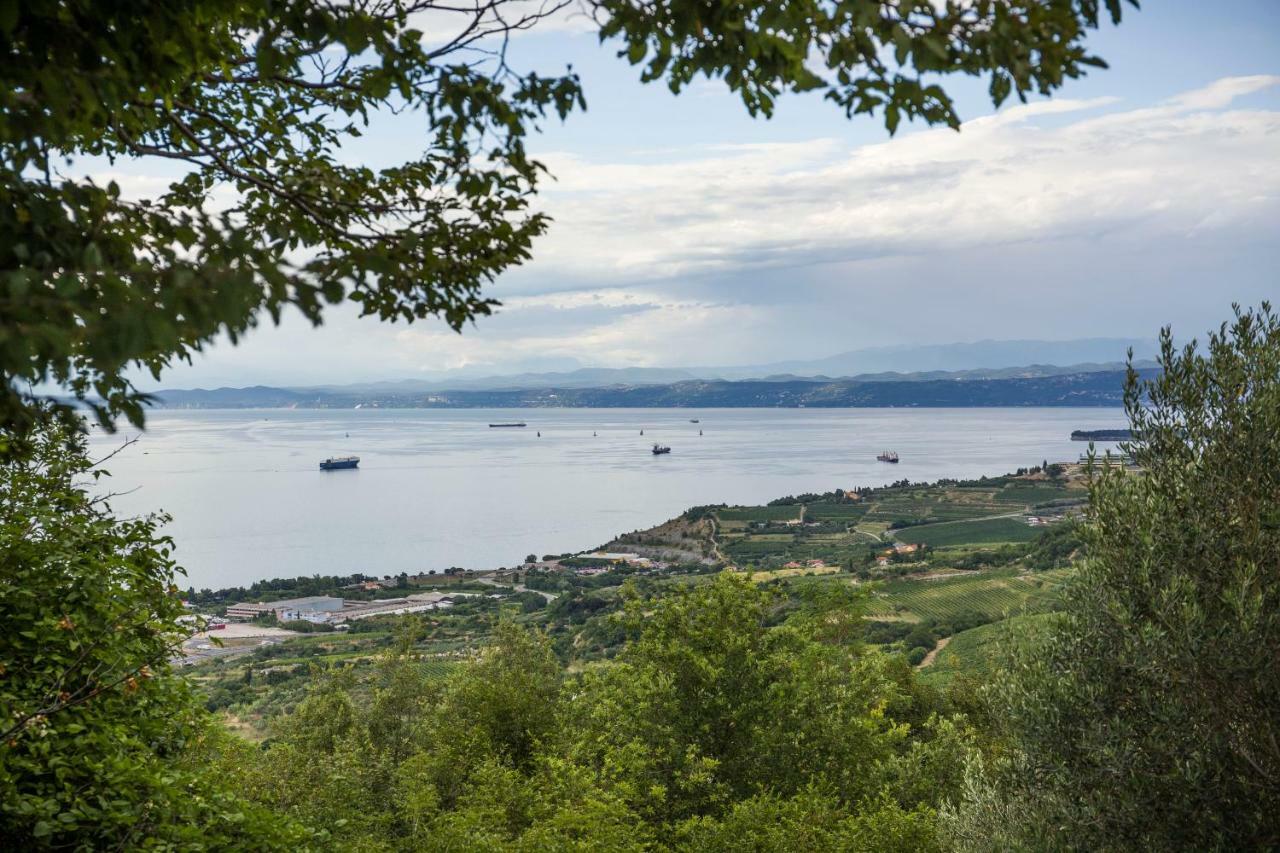 Apartments Baredi Izola Zewnętrze zdjęcie